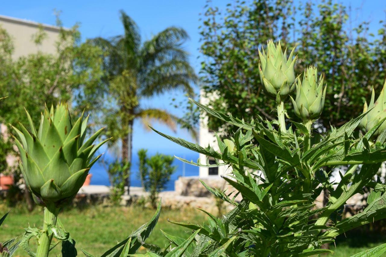 Anna'S Stone House Villa Megala Chorafia ภายนอก รูปภาพ